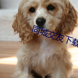 918博天堂·(中国)手机版客户端