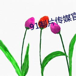 91制(制)片传媒官方