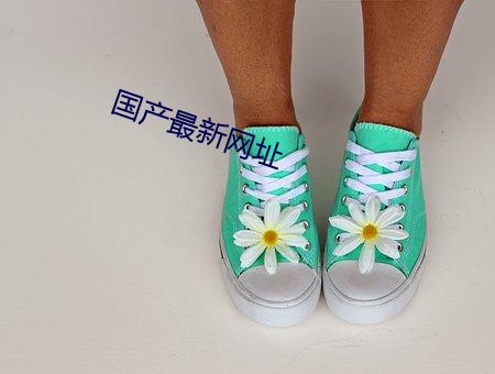 国产最新网址
