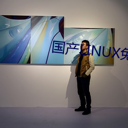 国产(chǎn)LINUX免费