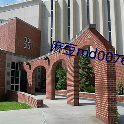 麻豆md0076免费视频