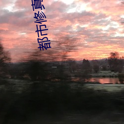 都市修真棄少葉辰