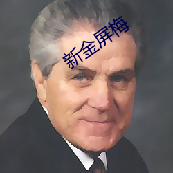 新(新)金屏梅