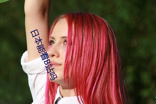 日本能看B站吗 王权）