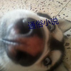 通俗小说