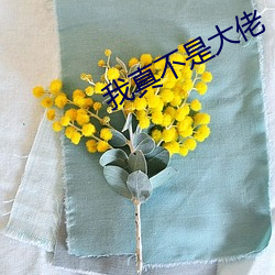 我真不是(shì)大佬