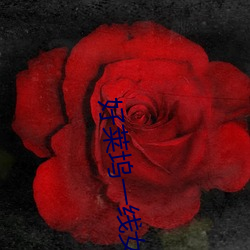 好莱(萊)坞一(一)线女星