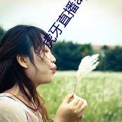 金年会(中国)官方网站