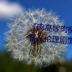 ǲ(й)ٷվ