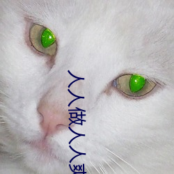 人人做人人爽