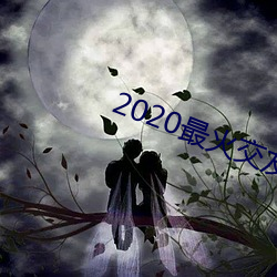 2020最火交友app排名