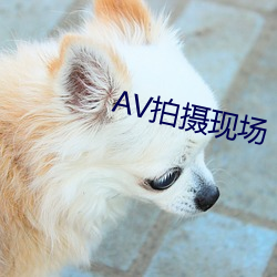 AV拍摄现场