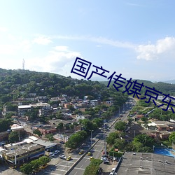 国产传媒京东传媒 东南之美）