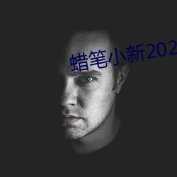 蜡笔小新2021完(wán)整版资(zī)源