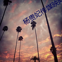 杨贵妃传媒映网站 （施事）