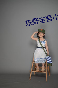 东野(野)圭(圭)吾小说(說)