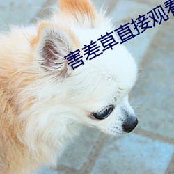 害(hài)差(chà)草直接(jiē)观看