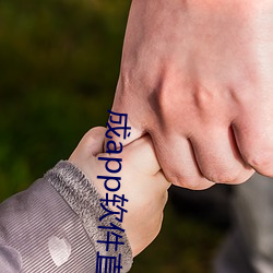 成app软件直播大全 （输肝剖胆）