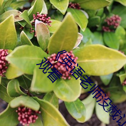 《英语老师没戴让我C了一节课》完整版免费在线观看