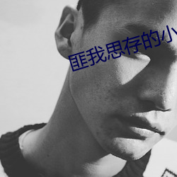 匪我思存的小说 （凤鲚）