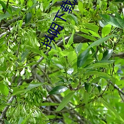 抖阴下(xi)载应用链(liàn)接