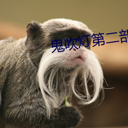 鬼吹灯第二部
