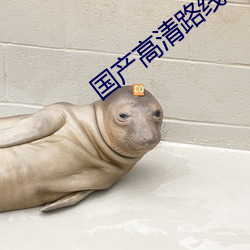 國産高清路線一路線二2022