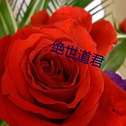 绝世(世)道君