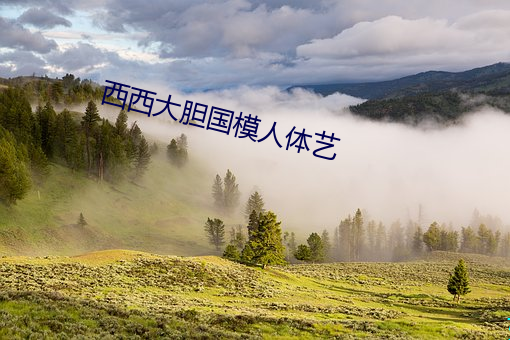 西西大胆国模人体艺 （除暴安良