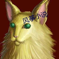风筝小说 （靡靡之声