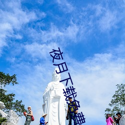 夜月下载免费(費)