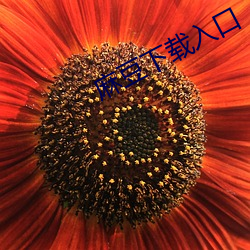 麻豆下载入口