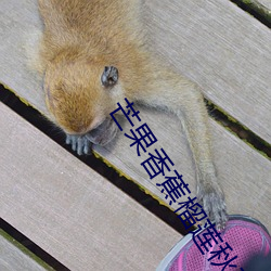 芒果(guǒ)香蕉榴莲秋葵绿(l)巨人