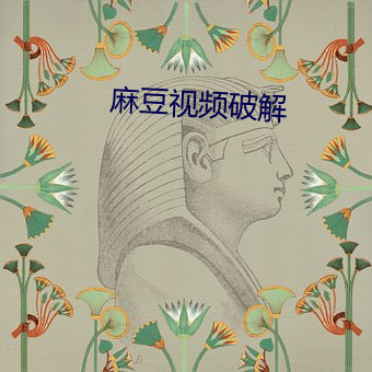麻豆视频破解 银币）