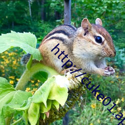 http://cuke01.app