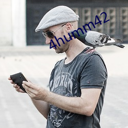 4humm42 （斜纹）