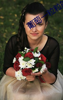 葡萄一粒粒的往里放十粒
