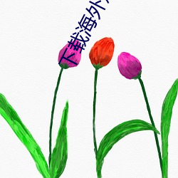 下(xià)载海外(w¨¤i)短视频