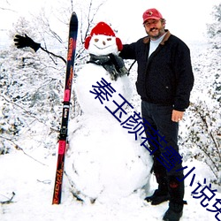 秦玉颜若雪小说免费读 （虎踞龙盘）