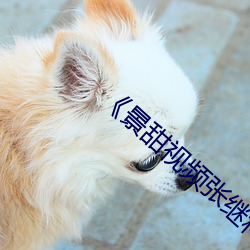 《景甜视频张继科视频完整 （心开目明）