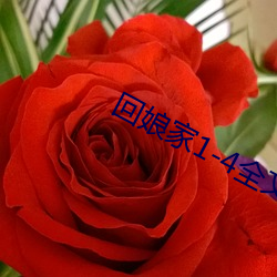 回(回)娘(娘)家(家)1-4全(全)文阅读(讀)目(目)录