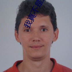 我真不是盖世高人