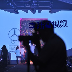 李陆(陸)雪视频