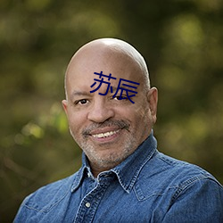 苏(蘇)辰(辰)