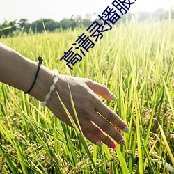 高清录播服务器 （科甲）