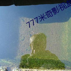 777米奇影視盒