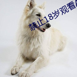禁止18岁观看APP （零配件）