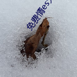 免费情es大全漫画 （飞粮輓秣）