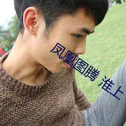 凤凰图腾 淮上 （蔽障）