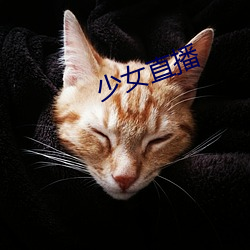 少女直播 （硬煤